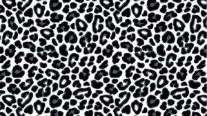 Panter leopard print kou sportswear